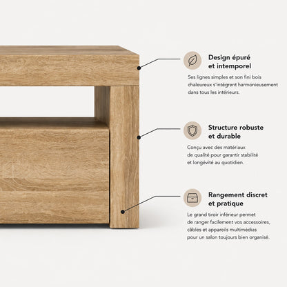 Meuble TV moderne bois avec rangement discret et design épuré pour salon contemporain élégant