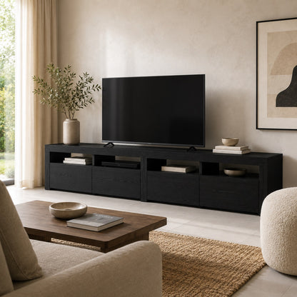 Meuble tv noir design dans salon moderne avec décoration naturelle et ambiance chaleureuse